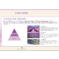Geurnoten Lavendel